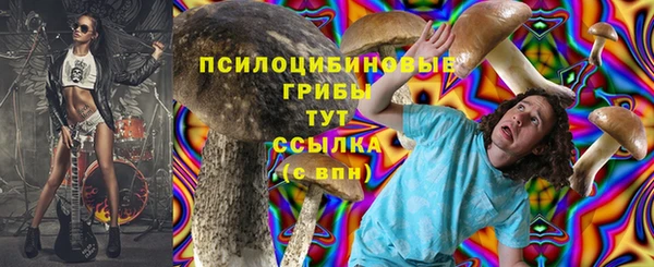 винт Богданович