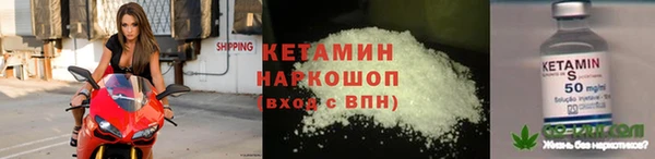 таблы Бородино