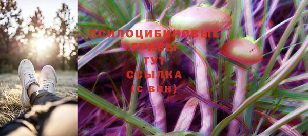 синтетический гашиш Ступино
