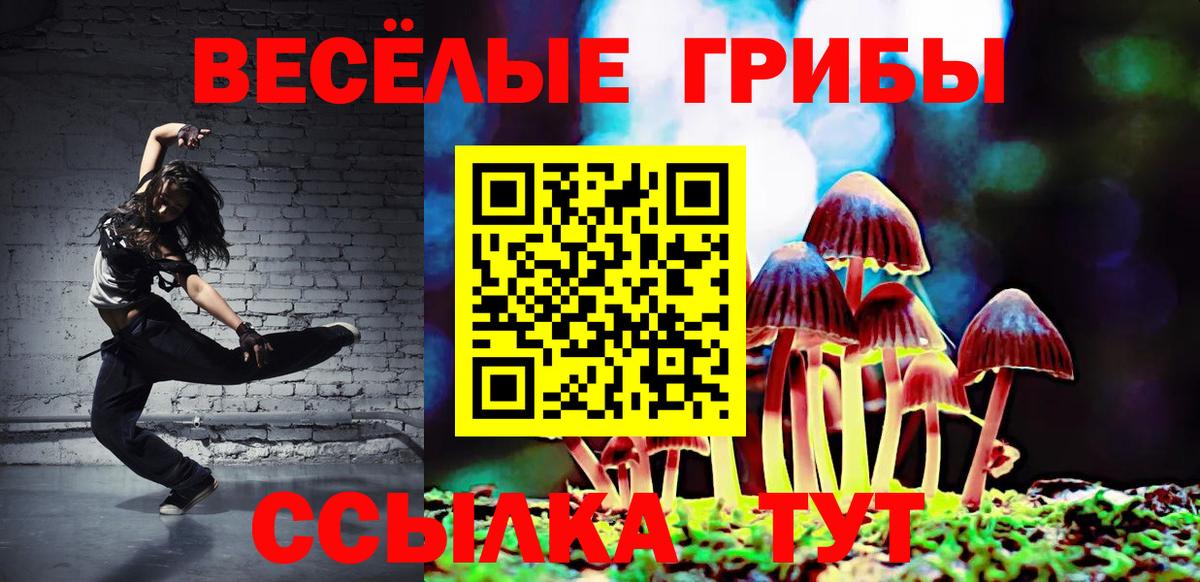 Галлюциногенные грибы MAGIC MUSHROOMS  Балаково 