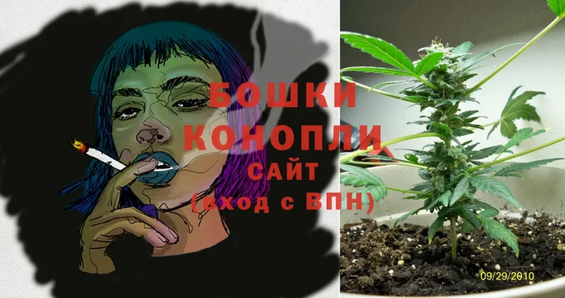 Конопля White Widow  купить наркоту  Балаково 